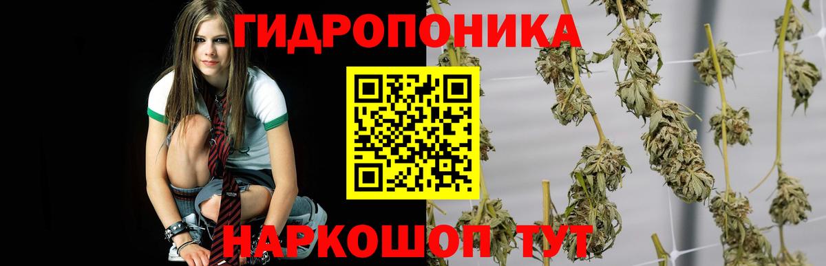 Конопля VHQ Иваново